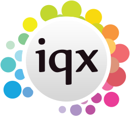 IQX logo